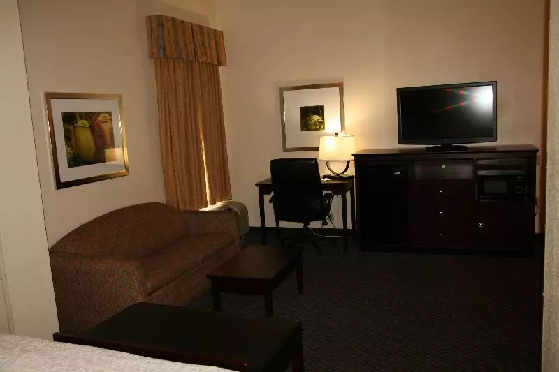 اتاق استاندارد با تخت بزرگ, Hampton Inn By Hilton Petersburg Ft. Gregg Adams