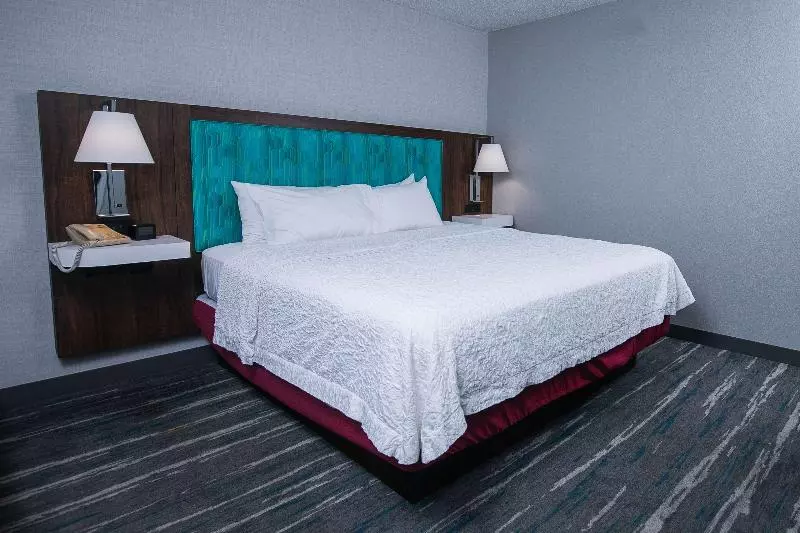 キングサイズベッドのスイートルーム, Hampton Inn Pickwick Damat Shiloh Falls