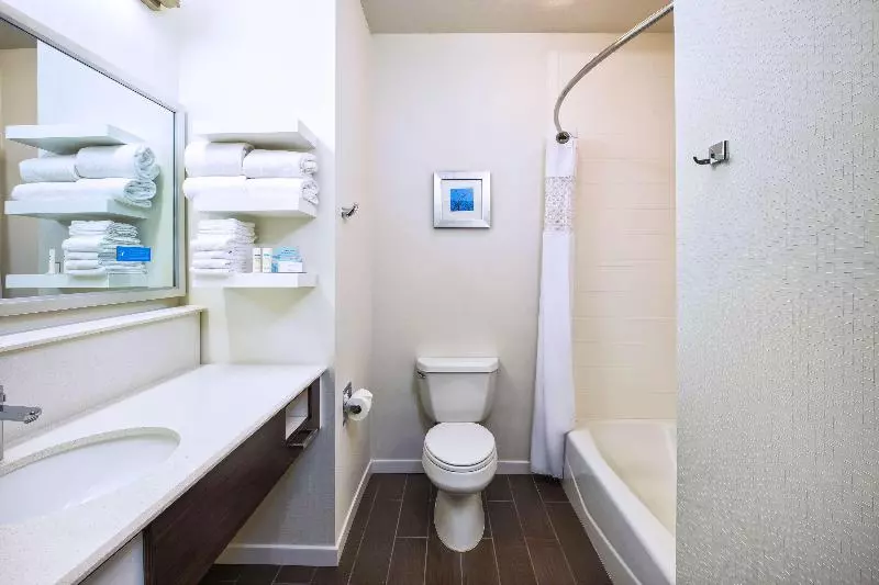 اتاق استاندارد با تخت بزرگ, Hampton Inn & Suites Los Alamos White Rock