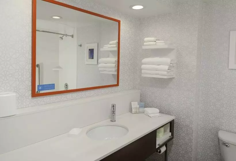 身障者適用スタンダードルーム, Hampton Inn & Suites Concord/charlotte