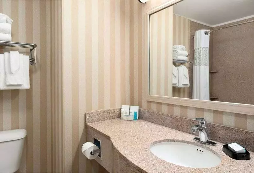 استودیوی استاندارد, Hampton Inn & Suites Detroit/sterling Heights