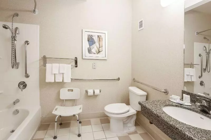 اتاق استاندارد با تخت بزرگ, Hampton Inn & Suites Raleigh Cary Lenovo Center