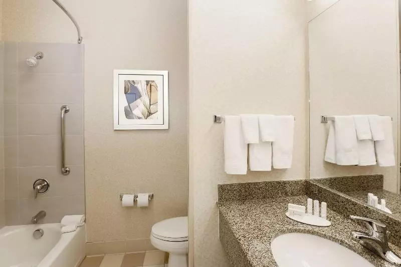 اتاق استاندارد با تخت بزرگ, Hampton Inn & Suites Raleigh Cary Lenovo Center