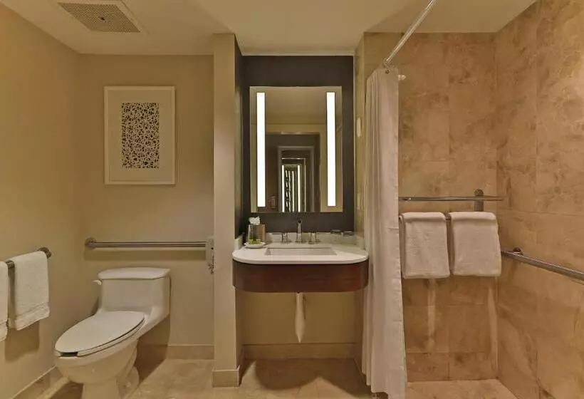 身障者適用スタンダードルーム, Intercontinental At Doral Miami, An Ihg
