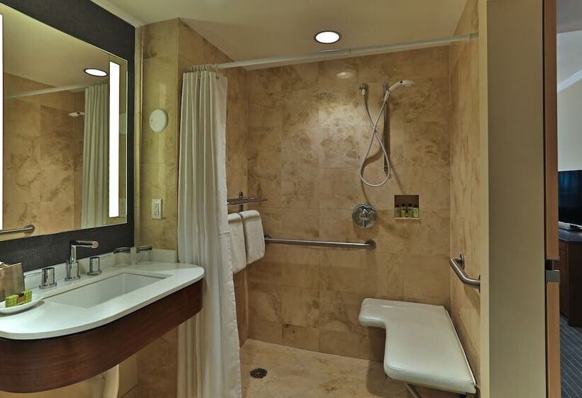 غرفة قياسية لذوى الاحتياجات الخاصة, Intercontinental At Doral Miami, An Ihg