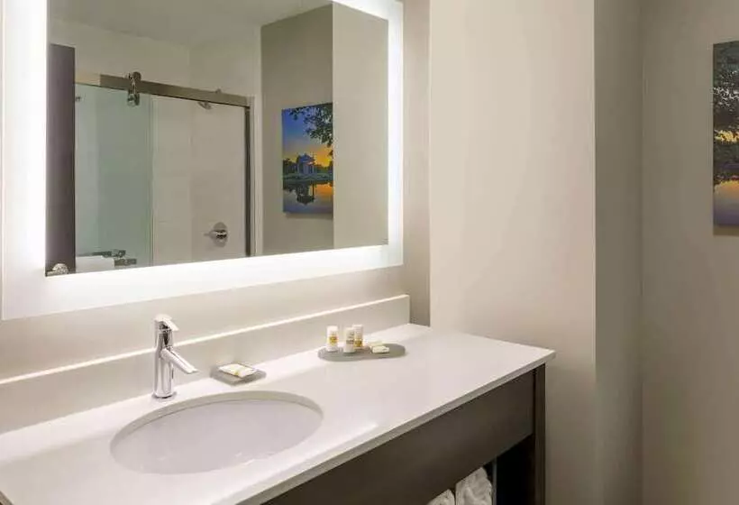 اتاق استاندارد با 2 تخت دوبل, La Quinta Inn & Suites By Wyndham St Louis Route 66