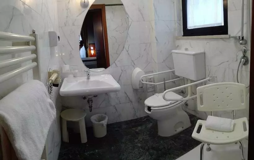 اتاق استاندارد یک تخته برای معلولان, Michelangelo Palace & Spa