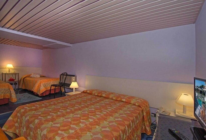 اتاق استاندارد چهار تخته, Rex