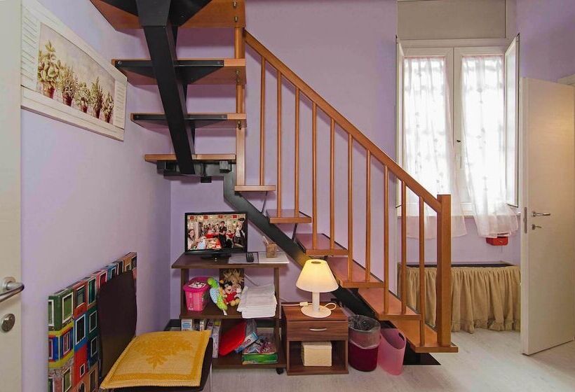 اتاق استاندارد چهار تخته, Rex