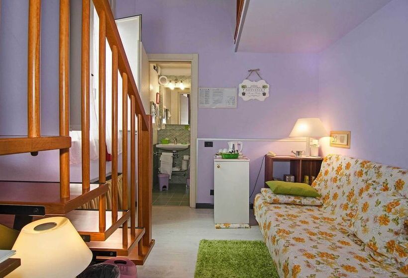 اتاق استاندارد چهار تخته, Rex