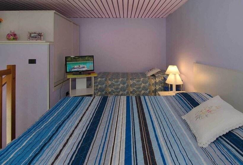 اتاق استاندارد چهار تخته, Rex