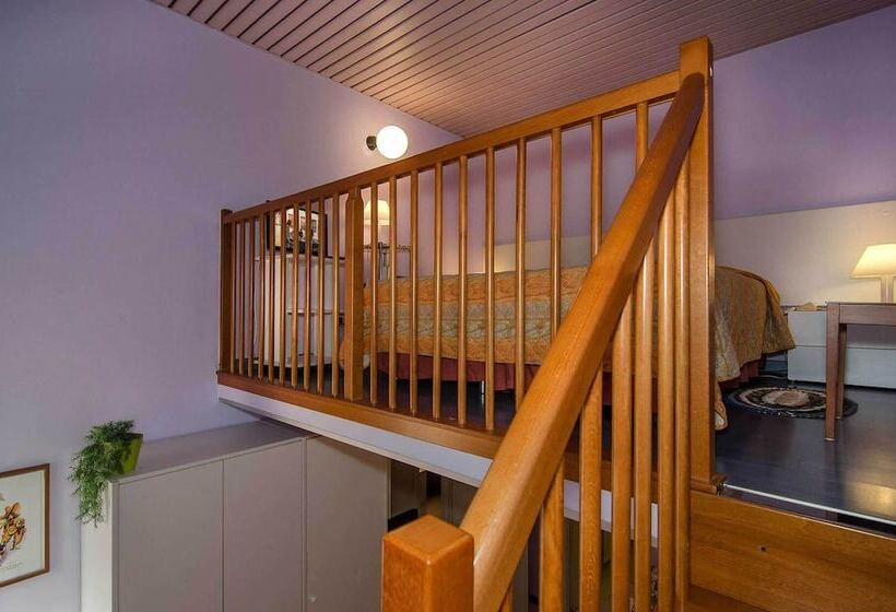 اتاق استاندارد چهار تخته, Rex