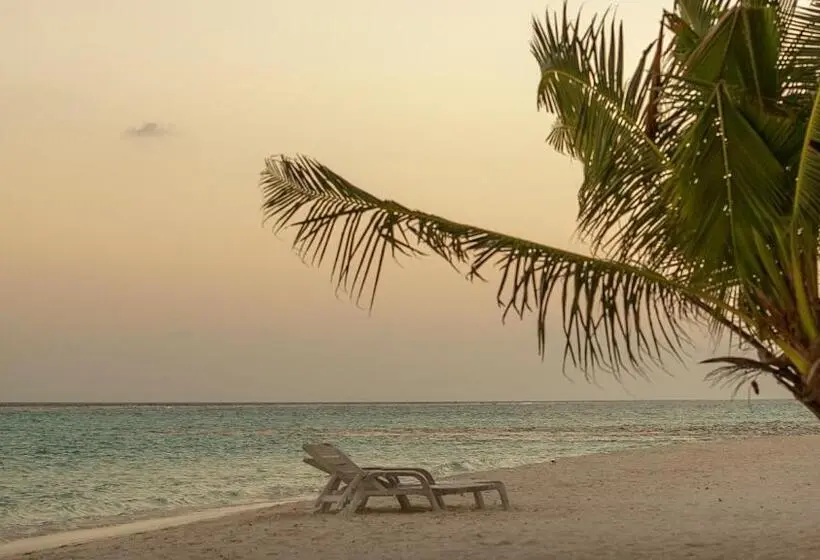 اتاق لوکس یک تخته, Sunset Beach View