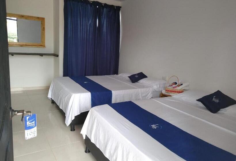 غرفه قياسيه سريرين مزدوجين, Cosmos Tatacoa