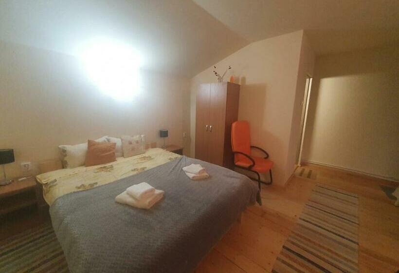 스탠다드 룸, Pensiunea Casa Motilor