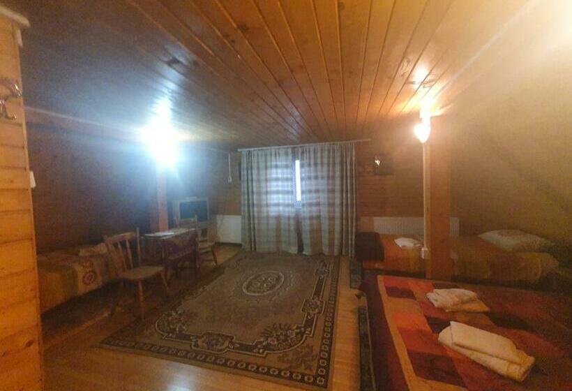 غرفة قياسية رباعية, Pensiunea Casa Motilor