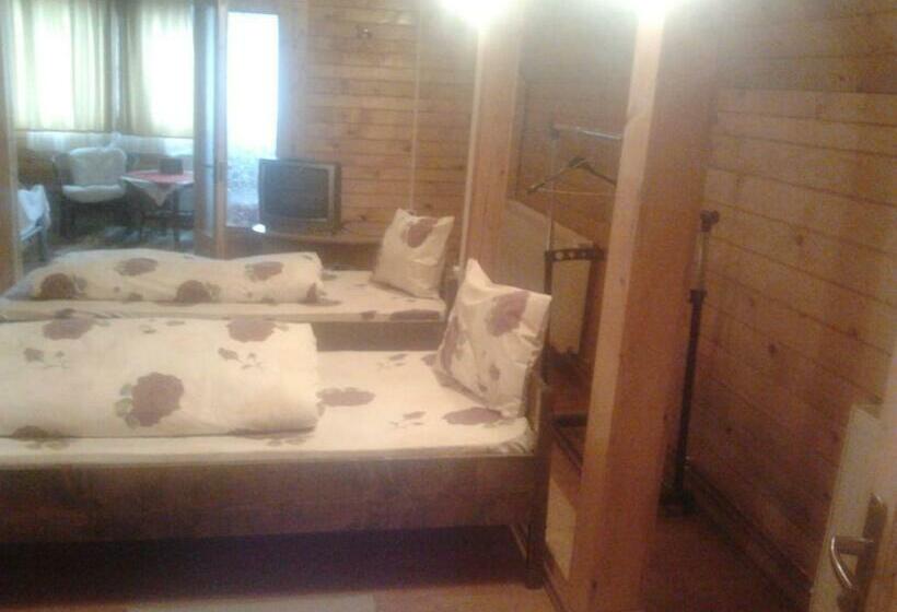 جناح عائلي, Pensiunea Casa Motilor