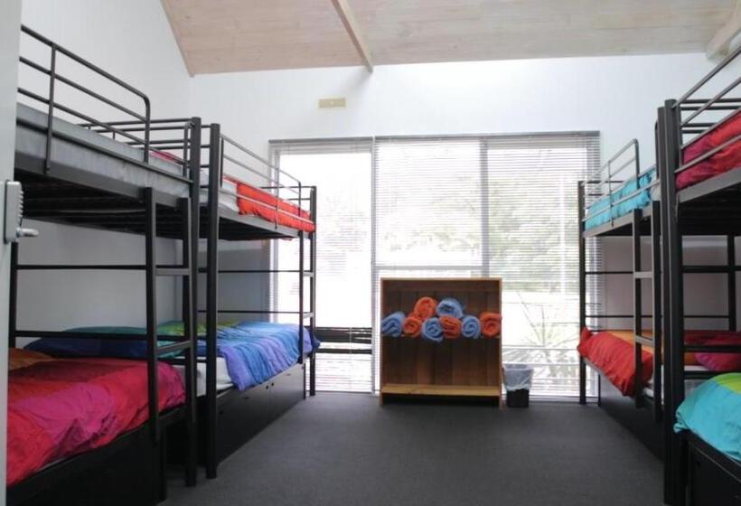 패밀리 룸, Alpine Sports Lodge