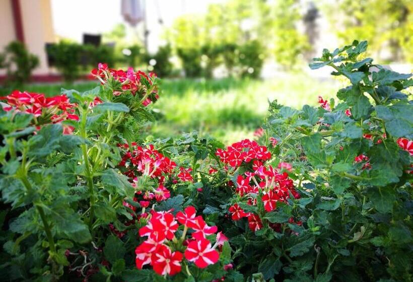 Четырехместный Номер Стандарт, La Residenza Del Marchesato