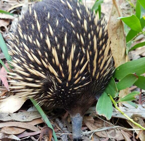 スリーベッドルーム　ヴィラ, The Nature Resort Villas