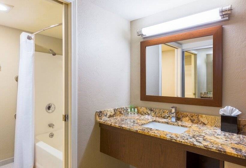 סוויטה, Holiday Inn Resort The Lodge At Big Bear Lake, An Ihg