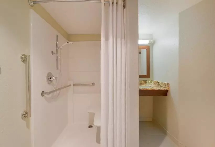 身障者適用スイートルーム, Holiday Inn Resort The Lodge At Big Bear Lake, An Ihg