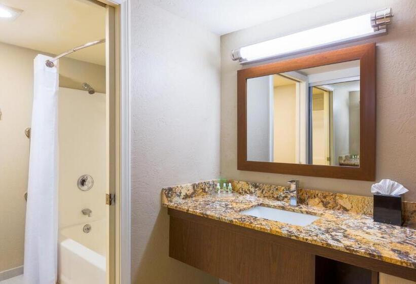 חדר סטנדרט עם מיטת קינג, Holiday Inn Resort The Lodge At Big Bear Lake, An Ihg