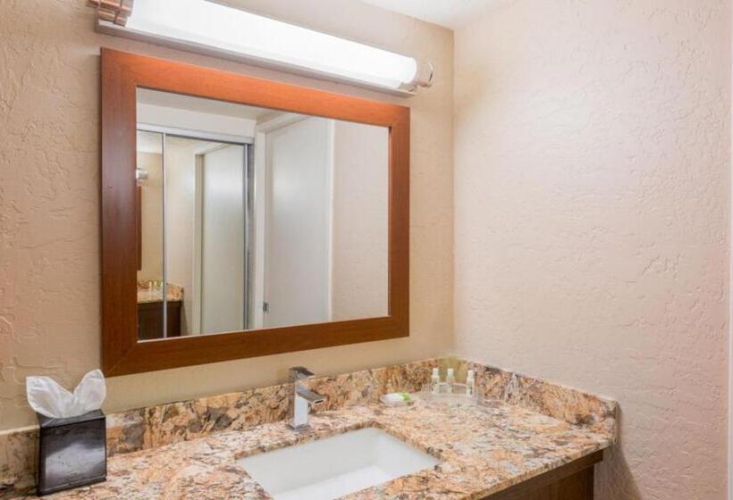 חדר סטנדרט עם מיטת קינג, Holiday Inn Resort The Lodge At Big Bear Lake, An Ihg