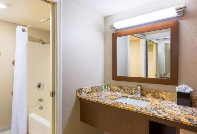 デラックスルーム, Holiday Inn Resort The Lodge At Big Bear Lake, An Ihg
