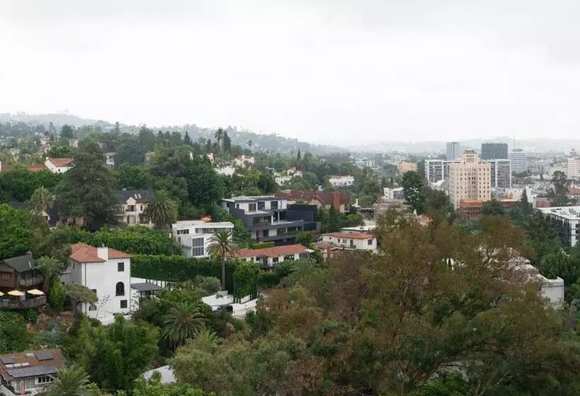 استودیو استاندارد با چشم‌انداز, Hollywood Hills