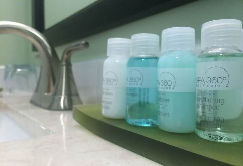 エクゼクティブルーム, Kellogg Conference Hotel Capitol Hill At Gallaudet University