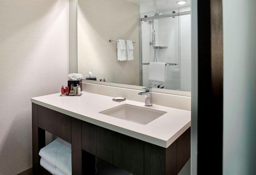 스탠다드 룸 더블 침대, Marriott Birmingham Grandview