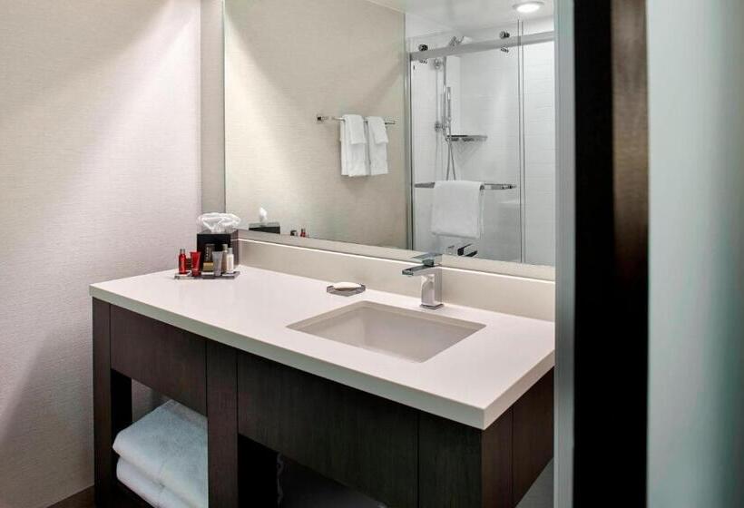 스탠다드 룸 킹사이즈 침대, Marriott Birmingham Grandview