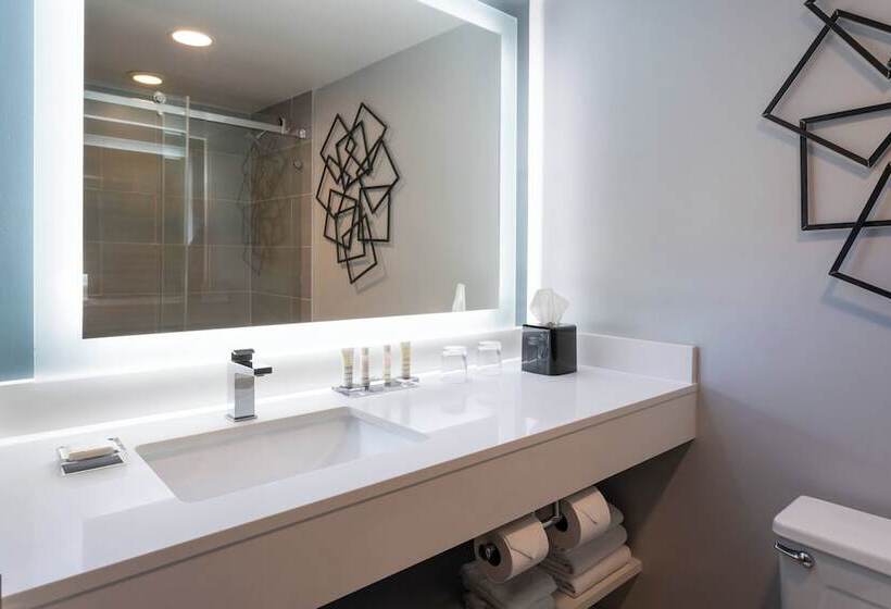 ２ダブルベッドのスタンダードルーム, Marriott Greensboro Downtown