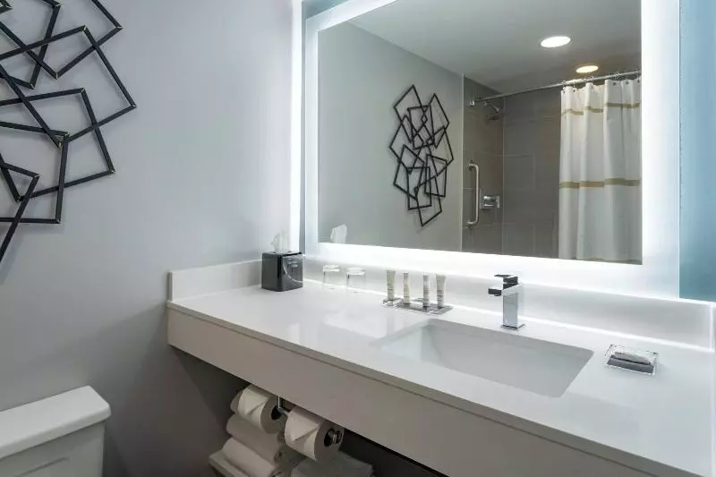 اتاق استاندارد با تخت بزرگ, Marriott Greensboro Downtown