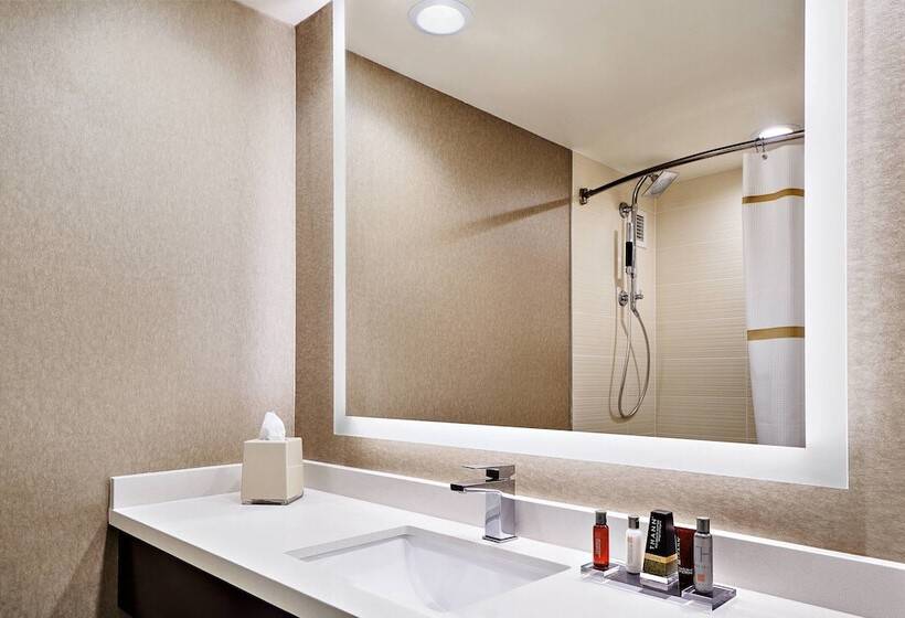 ２ダブルベッドのスタンダードルーム, Pittsburgh Marriott North