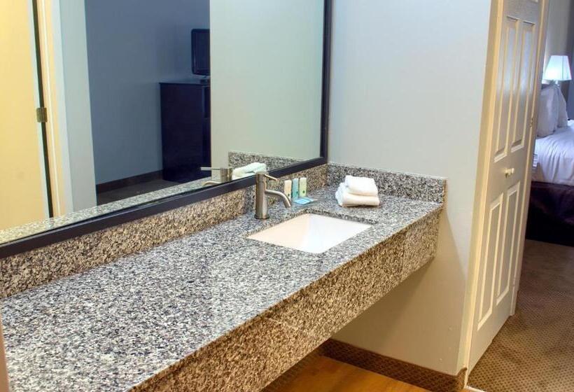 스탠다드 룸 킹사이즈 침대, Quality Inn