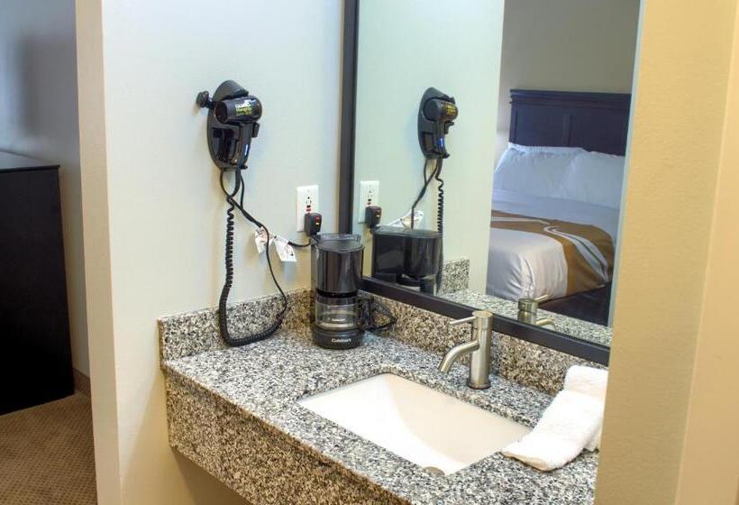 스탠다드 룸 킹사이즈 침대, Quality Inn