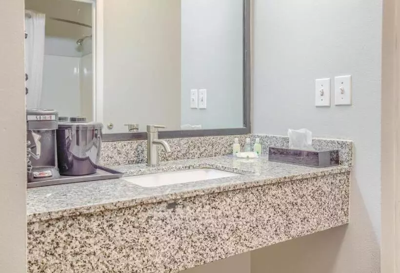 اتاق استاندارد با تخت بزرگ, Quality Inn