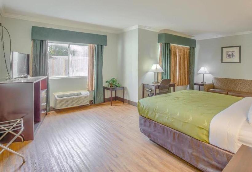 스위트, Quality Inn