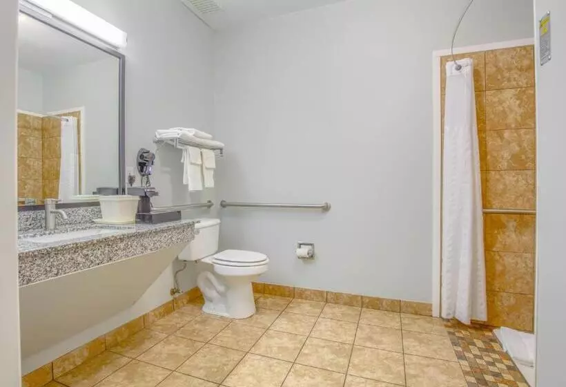 اتاق استاندارد با تخت بزرگ برای معلولان, Quality Inn