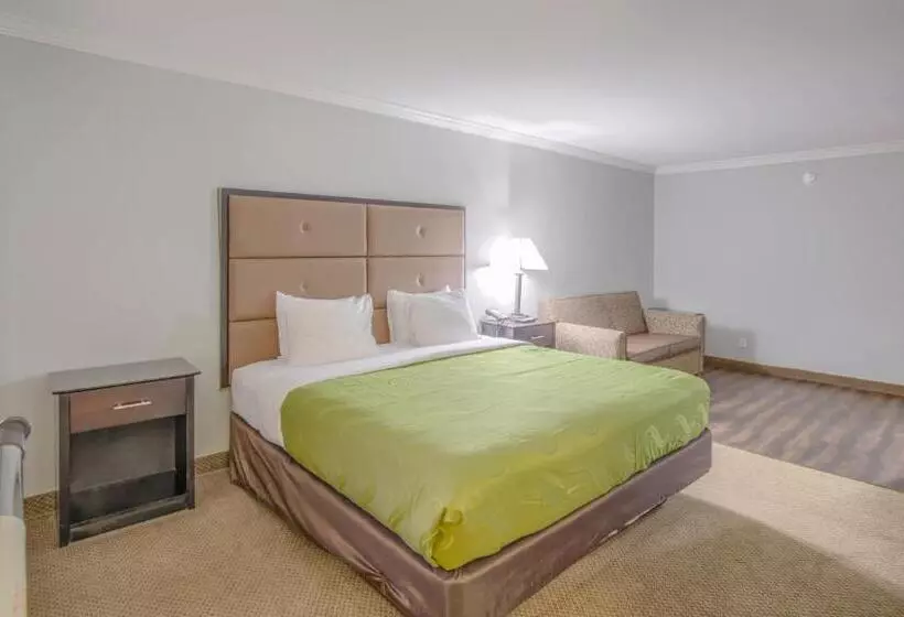 اتاق استاندارد با تخت بزرگ برای معلولان, Quality Inn