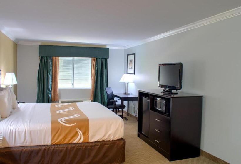 장애인을 위한 킹사이즈 침대 스탠다드 룸, Quality Inn