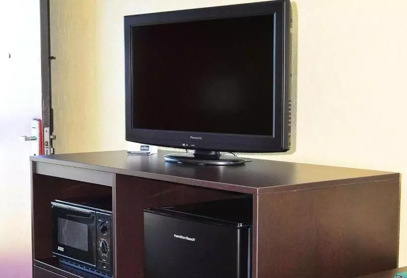 シングルデラックスルーム, Quality Inn & Suites Gulf Breeze Bayside Near Pensacola Beach