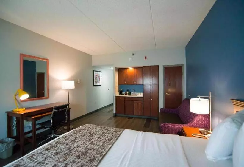 اتاق استاندارد با تخت بزرگ, Best Western Louisville Airport Expo