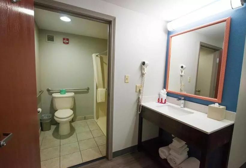اتاق استاندارد برای معلولان, Best Western Louisville Airport Expo