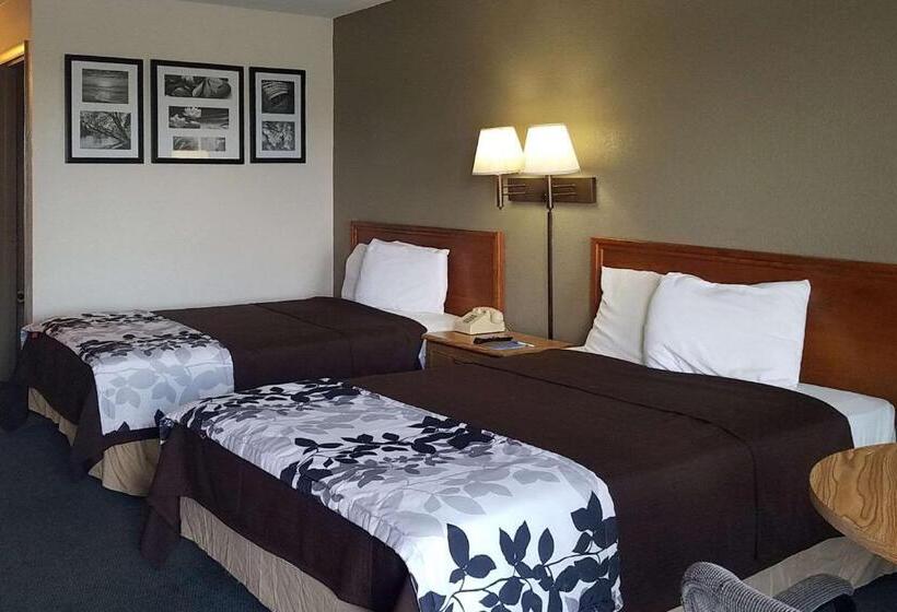 ２ダブルベッドのスタンダードルーム, Travelers Inn & Suites