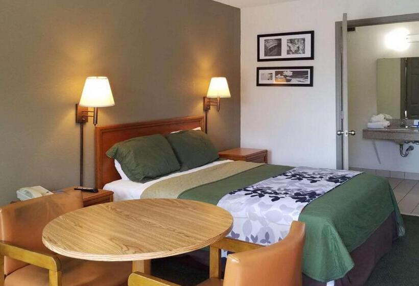 身障者適用スタンダードルーム, Travelers Inn & Suites