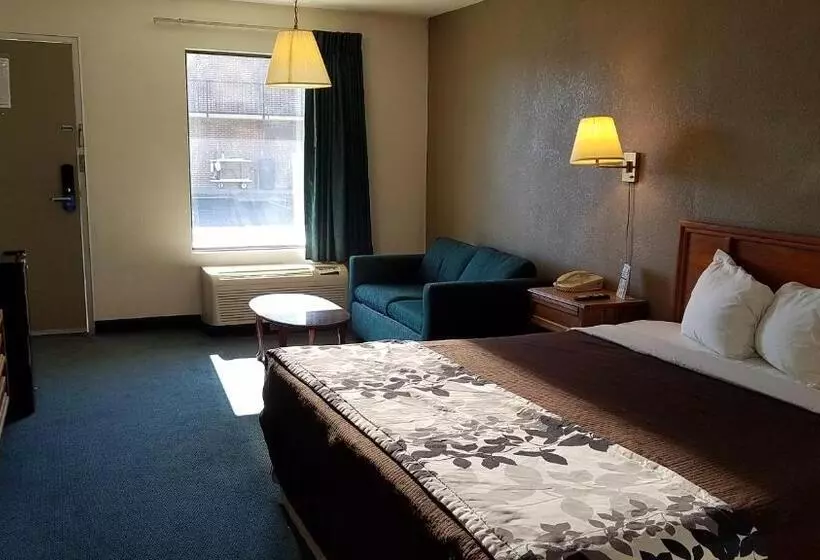 キングサイズベッドのスイートルーム, Travelers Inn & Suites