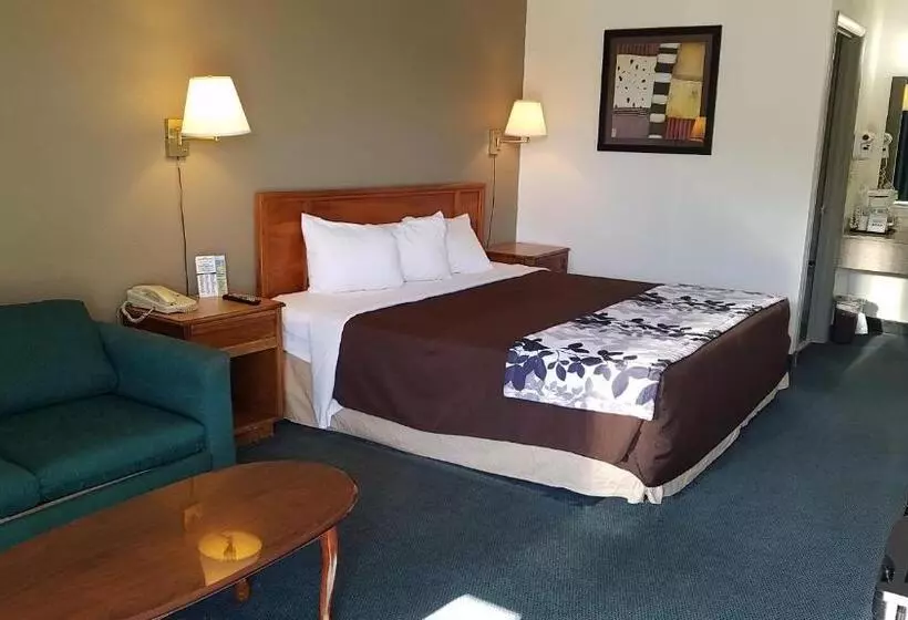 キングサイズベッドのスイートルーム, Travelers Inn & Suites
